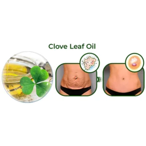 ️ Avocado Ageless Body Cream Scrub - Image 3