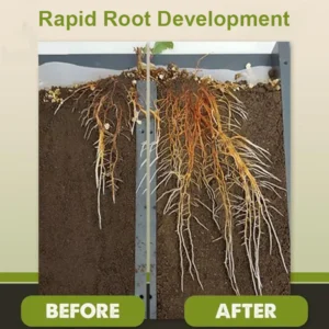 Plant Resurrection Liquid - Image 13