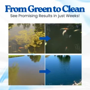 𝐂𝐫𝐲𝐬𝐭𝐚𝐥-𝐜𝐥𝐞𝐚𝐫 𝐰𝐚𝐭𝐞𝐫 - Image 6