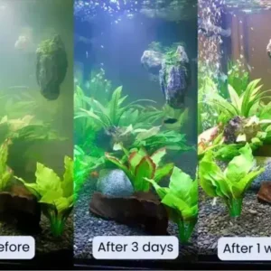 Aquariums Aqua-Guardian Blend - Image 21