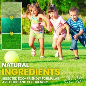 Green Lawn Grass Sunny Spray - Image 5