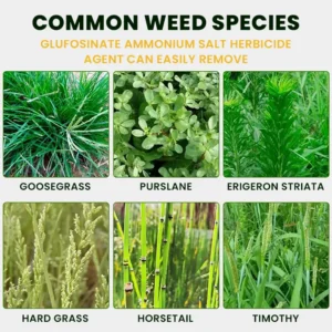 Salt Herbicide Agent - Image 9