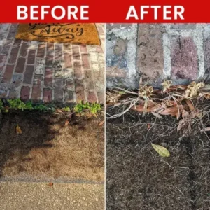 Weed Killer Spray - Image 10