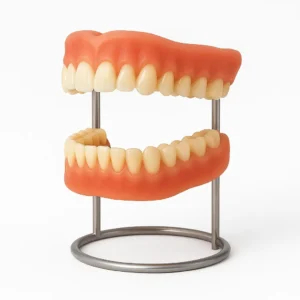 𝐀𝐝𝐚𝐩𝐭𝐢𝐯𝐞 𝐃𝐞𝐧𝐭𝐮𝐫𝐞𝐬 - Image 14