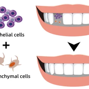 Herbal Brightening Oral Repair Foam - Image 9