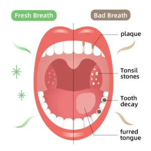 Herbal Brightening Oral Repair Foam - Image 10