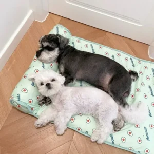 🔥The Hot Summer Is Coming Soon,49% Off🔥Cats/Dogs Cooling Bed - Image 2
