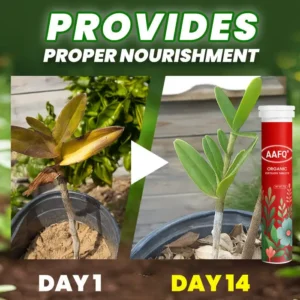 Organic Fertilizer Tablets - Image 3