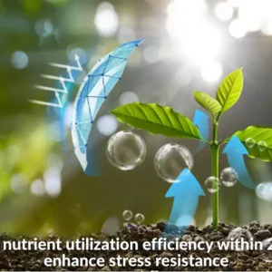2 in 1 Vita-Enzyme Solution - Image 7