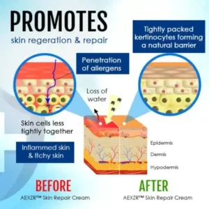 Skin Repair Cream - Image 4
