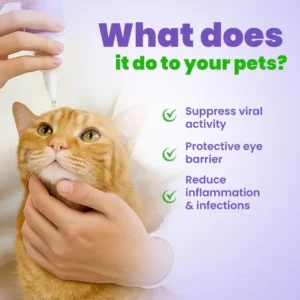 Eye Drops - Image 4