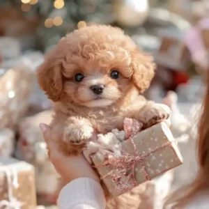 Realistic Robot Puppy - Image 7