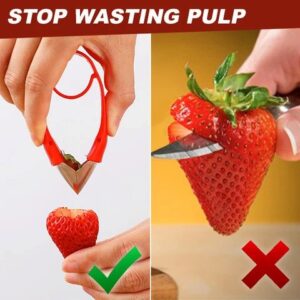 Multi-Purpose Fruit Stem Huller - Image 4