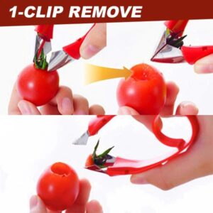 Multi-Purpose Fruit Stem Huller - Image 3