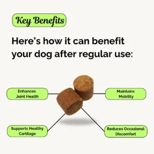 Advanced Hip & Joint Chew - Image 5