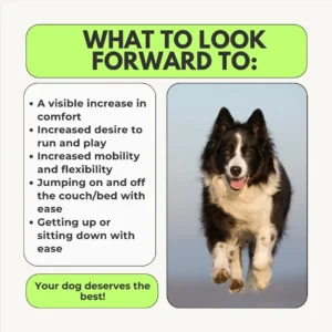 Advanced Hip & Joint Chew - Image 2