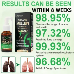 3X Concentrated Mullein Lung Cleanse Spray - Image 4