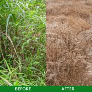 Cyclosinone Herbicide Granules - Image 11