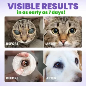 Pet Eye Drops - Image 4