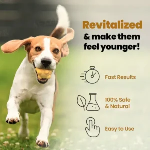 Joint Rejuvenation Drops - Image 3
