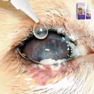 PetNano Eye Drops - Image 7