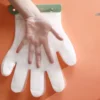 Disposable Glove Holder Organizer Wall Mounted (With 100PCS Gloves)