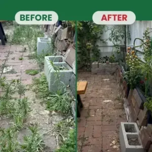 Kill Bamboo, Stumps & Invasive Weeds for Good – Root Killer Powder - Image 3