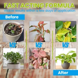 Plant Revitalizer - Image 14