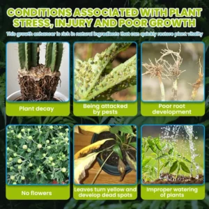 Plant Revitalizer - Image 15