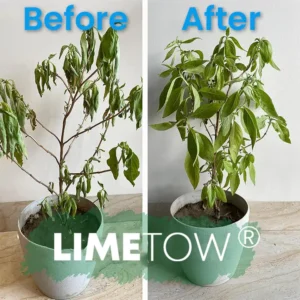 Plant Revitalizer - Image 12