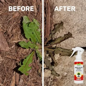 Weed Killer Spray - Image 5