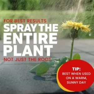 Weed Killer Spray - Image 7