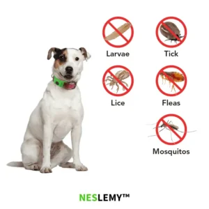 12‑Month Natural Flea & Tick Protection Pendant - Image 3