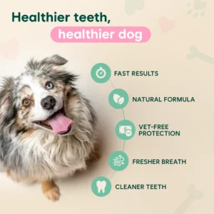 Probiotic Enzymatic Dental Spray - Image 4
