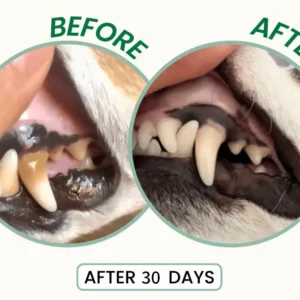 Probiotic Enzymatic Dental Spray - Image 5