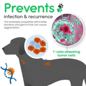 Kolirin Lumps & Bumps Pet Cream - Image 5