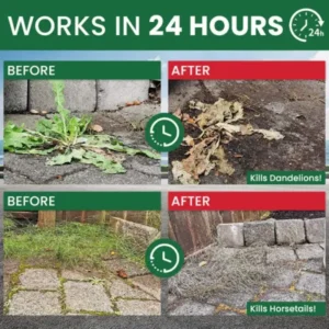 Weed Destruction Powder - Image 13
