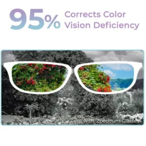 Zpectrum Colorblind Glasses - Image 7