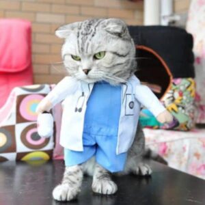 Funny Cat Costumes - Image 2