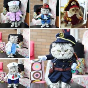 Funny Cat Costumes - Image 4