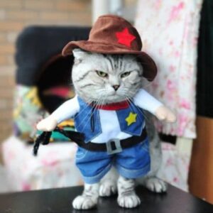 Funny Cat Costumes - Image 8