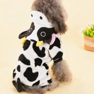 Funny Cat Costumes - Image 11