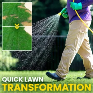 Green Lawn Grass Sunny Spray - Image 4