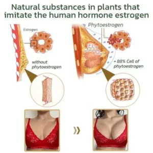 AnnieCare Pueraria Mirifica Papaya Breast Enhancement Capsules - Image 6