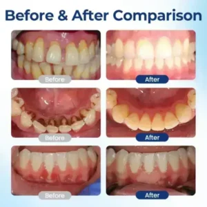 BeeTakt Oral Repair Solution - Image 3