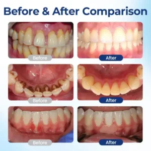 BeeTakt Oral Repair Solution - Image 8