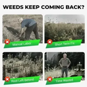 Cyclosinone Herbicide Granules | 🔥BUY 1 GET 1 FREE🔥 - Image 3