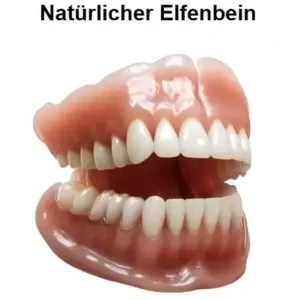 – Premium-Zahnprothese - Image 4