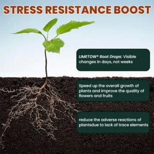 Root Drops - Image 13