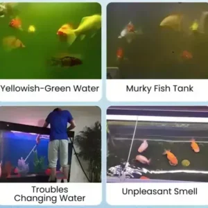 Aquariums Aqua-Guardian Blend - Image 10